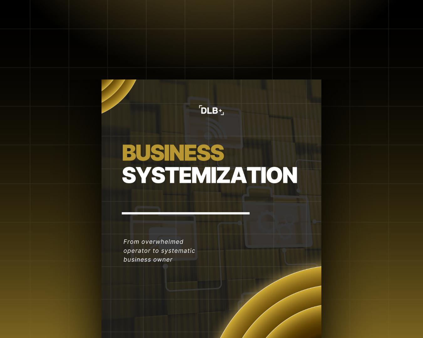Business Systemization